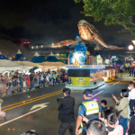 고래와 함께하는 특별한 하루, 울산고래축제