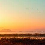 가을 남도의 맛, 강진·해남·영암