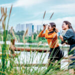 쌍안경 들고 도시 탐조 산책