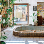 마카모디가 경주에서 노는 법