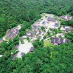 봄의 리듬을 따라 해남